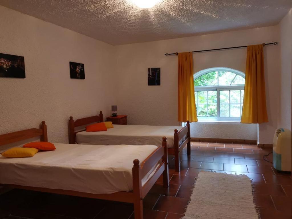Casa Do Pedro E Da Marina ξενώνας Lomba  Εξωτερικό φωτογραφία