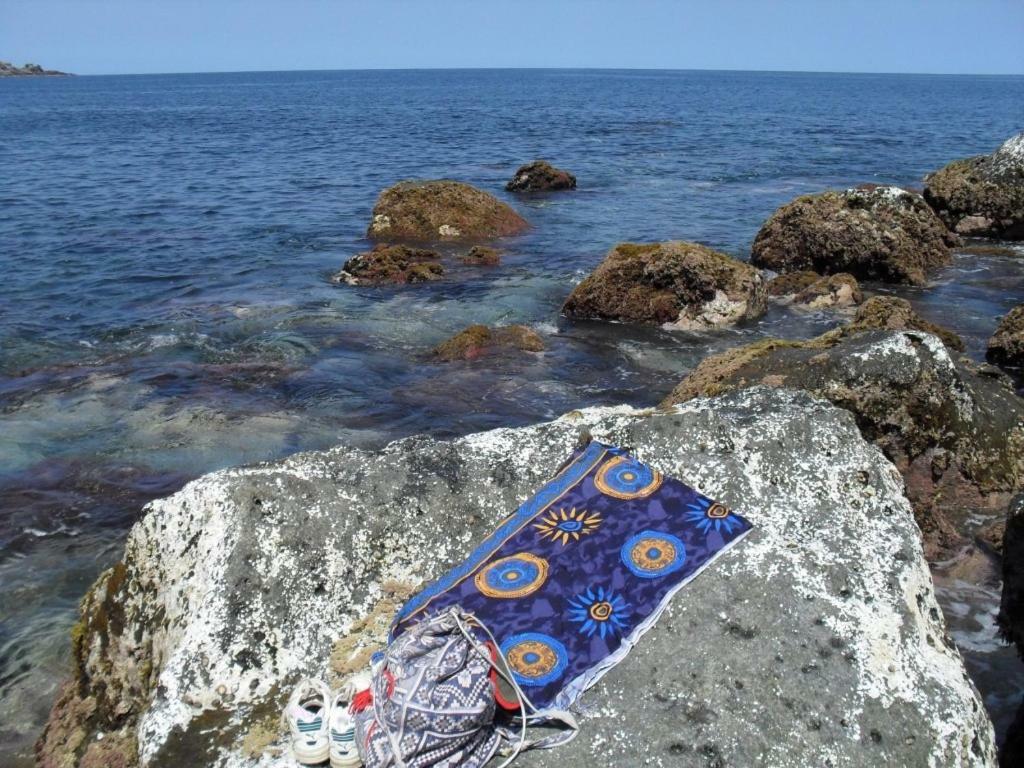 Casa Do Pedro E Da Marina ξενώνας Lomba  Εξωτερικό φωτογραφία